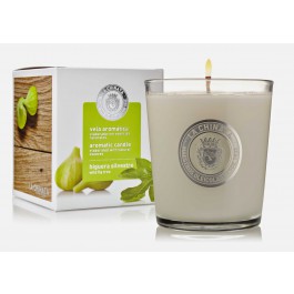 Kerze mit Wildfeigenbaum Aroma Dose 