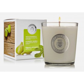 Kerze mit Wildfeigenbaum Aroma Dose 